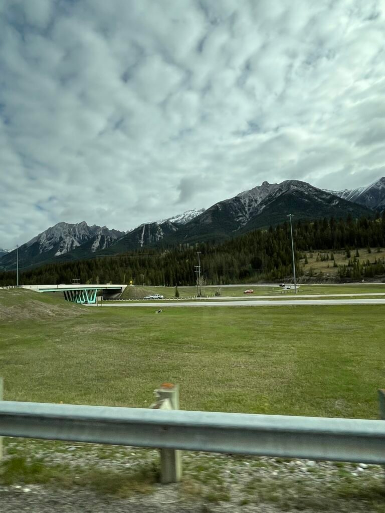 img 3547