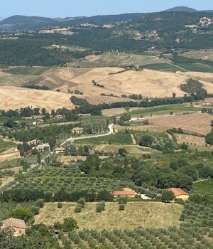 Italy: It's A Roman Holiday img 0189