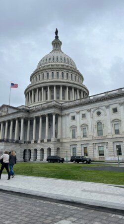 Washington, D.C.: Back to the Capital img 2011