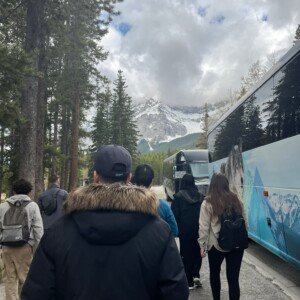 Banff, Alberta: Picture Perfection img 3616