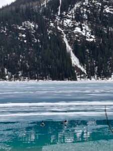 Banff, Alberta: Picture Perfection img 4927
